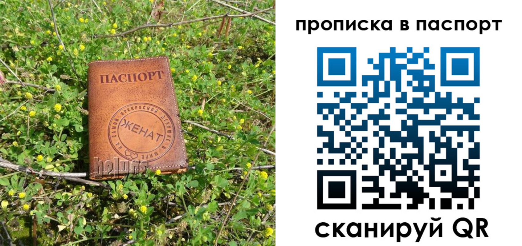 прописка для школы в Хабаровске